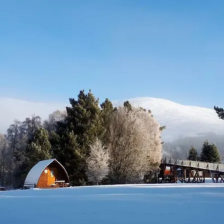 Badaguish Forest Lodges And Camping Pods Aviemore Exterior photo