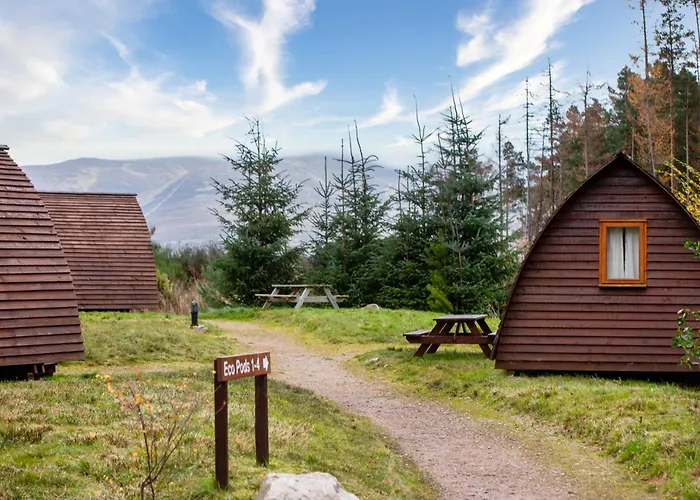 Badaguish Forest Lodges And Camping Pods