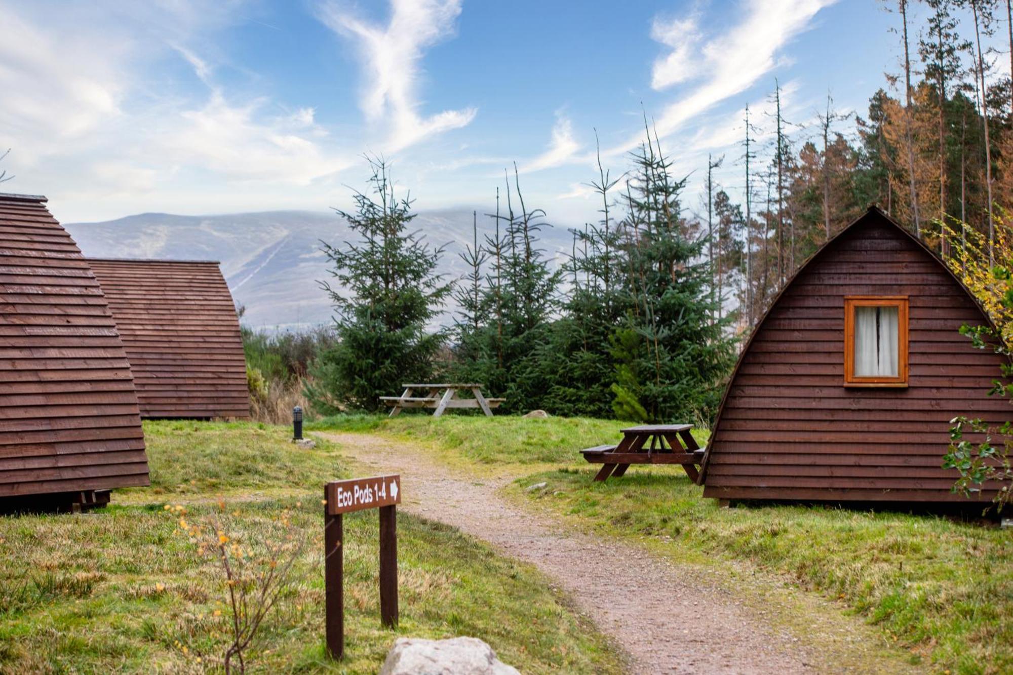 Badaguish Forest And Pods Campingplatz Aviemore